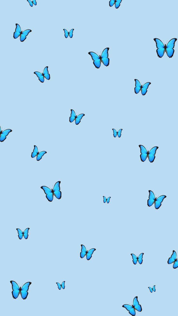 Aesthetic Blue Butterfly Wallpapers