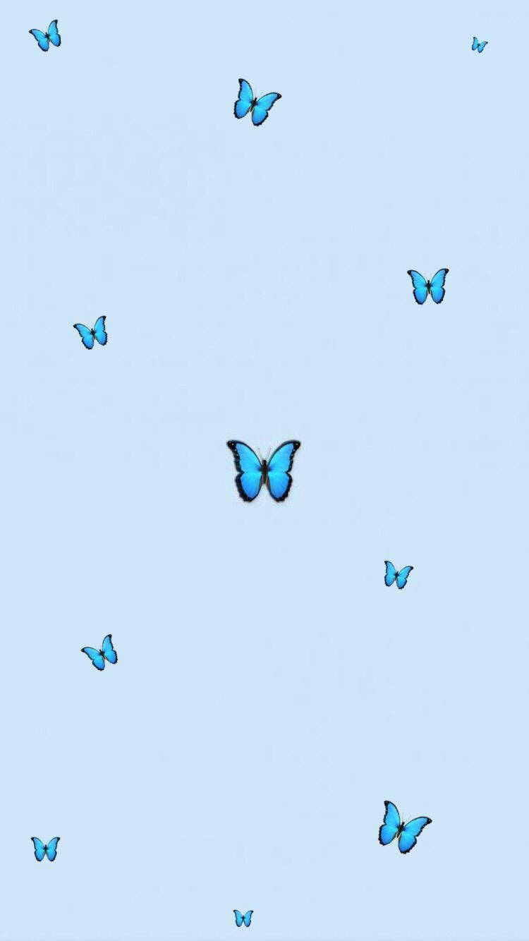 Aesthetic Blue Butterfly Wallpapers