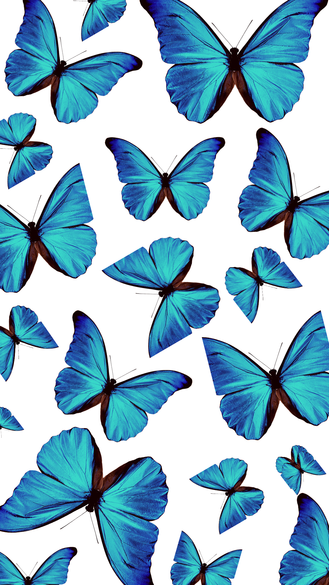 Aesthetic Blue Butterfly Wallpapers