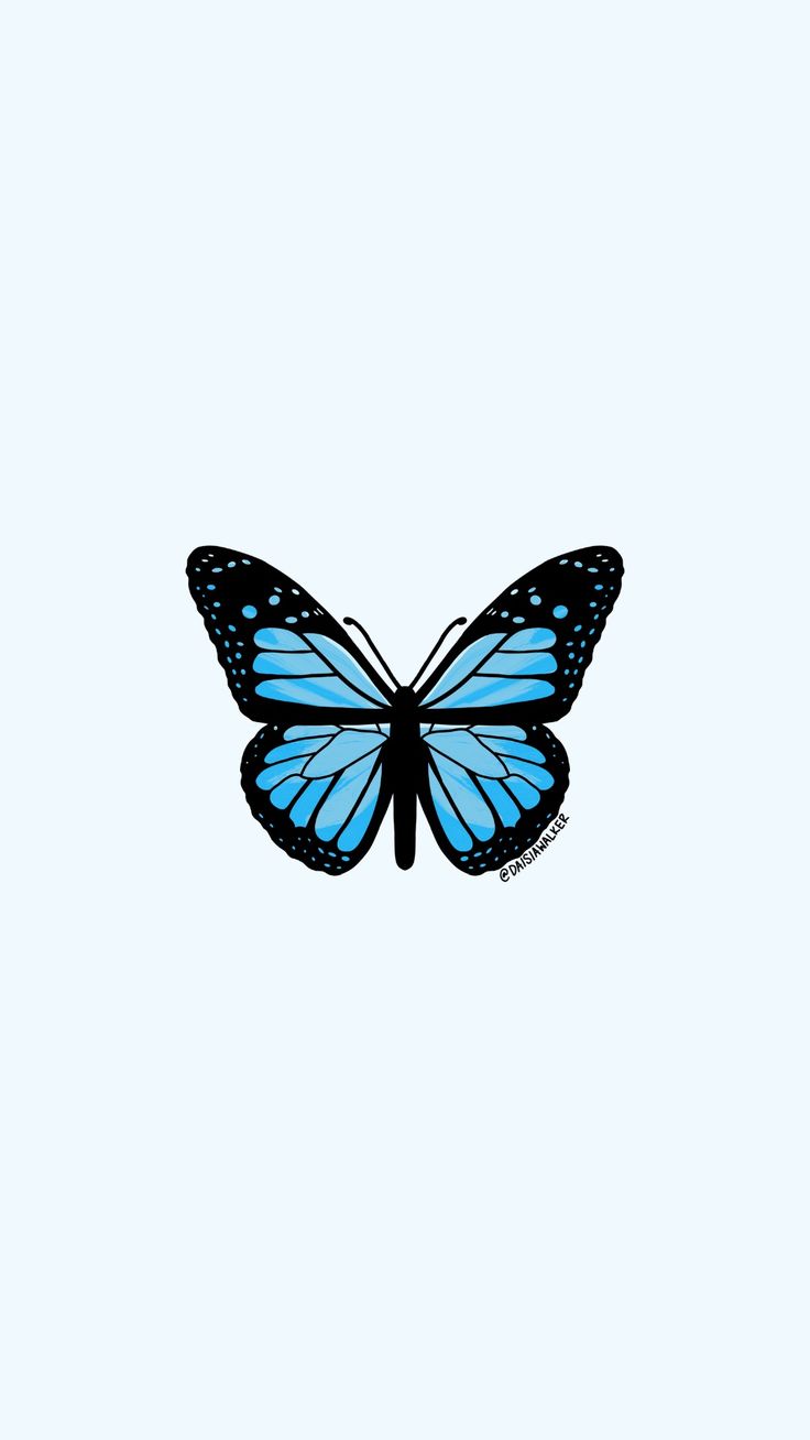 Aesthetic Blue Butterfly Wallpapers