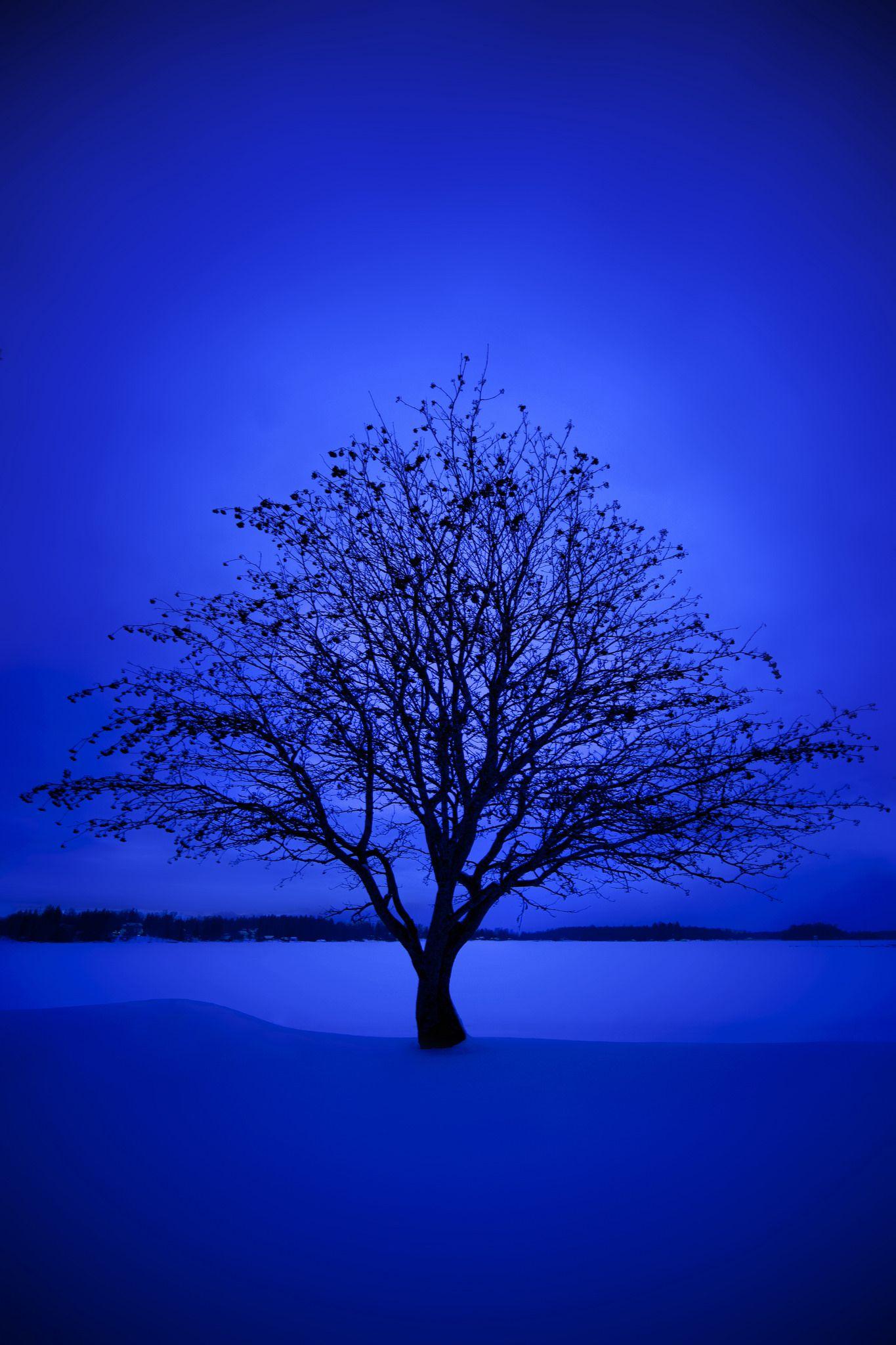 Aesthetic Blue Landscape Wallpapers