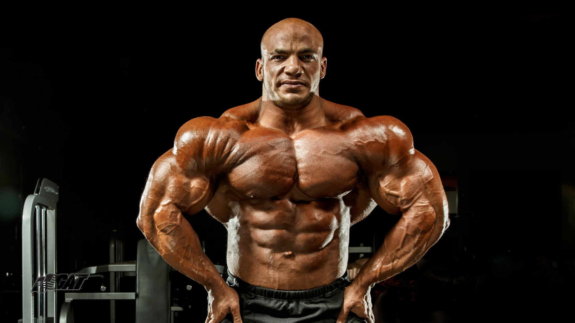 Aesthetic Bodybuilder Hd Wallpapers