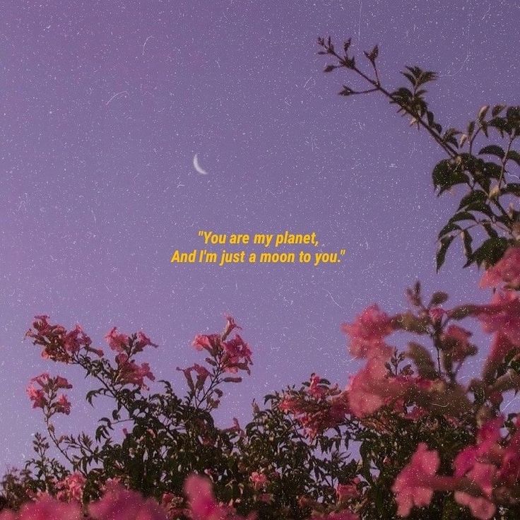 Aesthetic Bts Lyrics Wallpapers