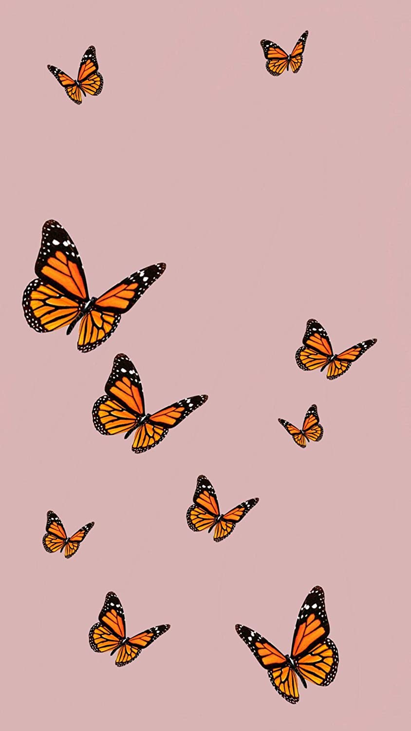 Aesthetic Butterflies Wallpapers