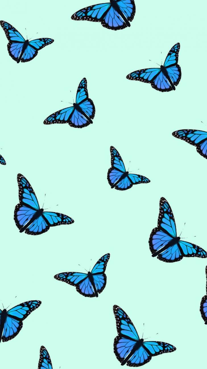 Aesthetic Butterflies Wallpapers