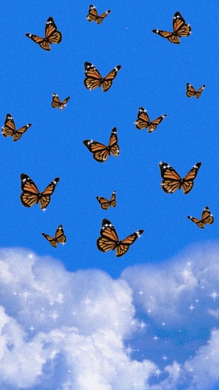 Aesthetic Butterflies Wallpapers