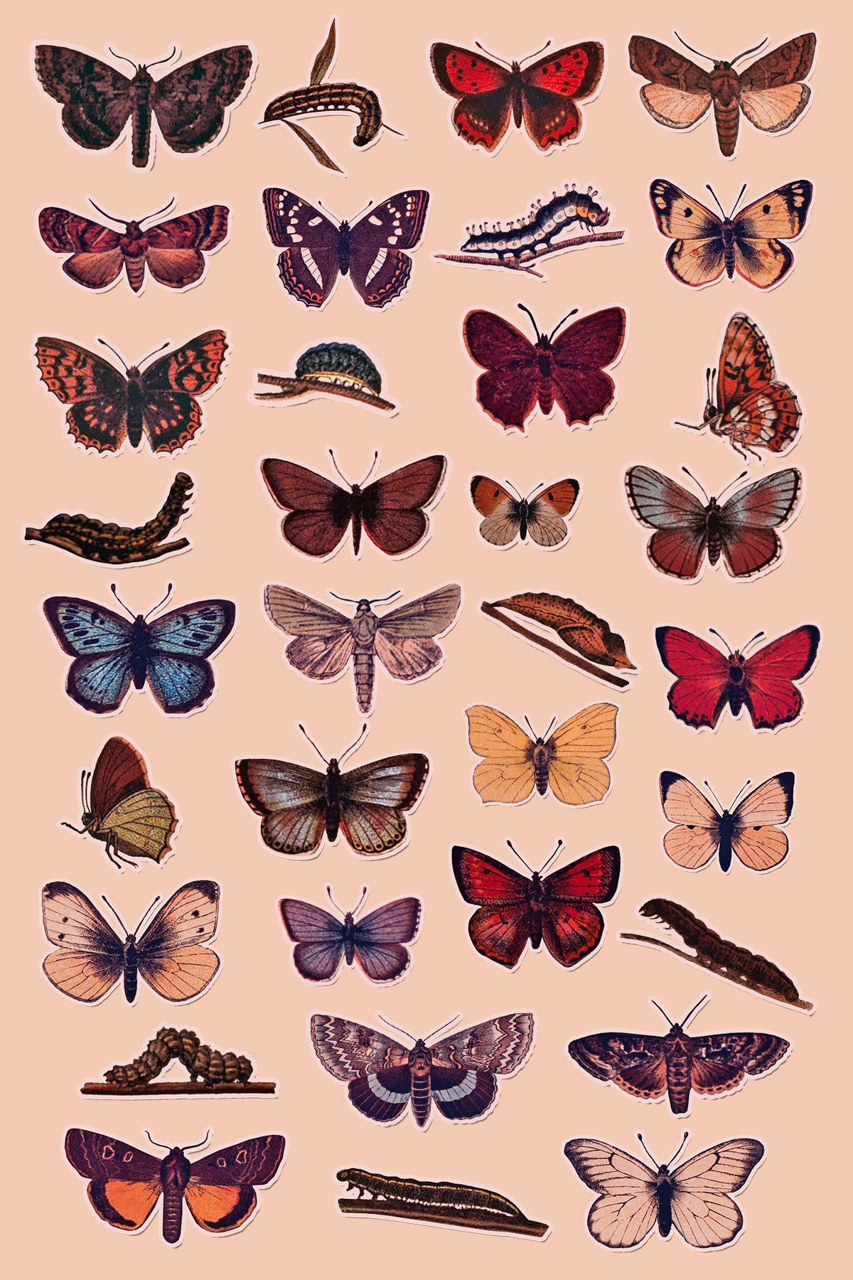 Aesthetic Butterflies Wallpapers
