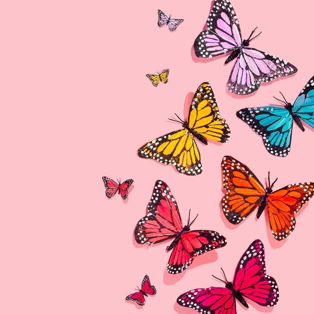 Aesthetic Butterflies Wallpapers