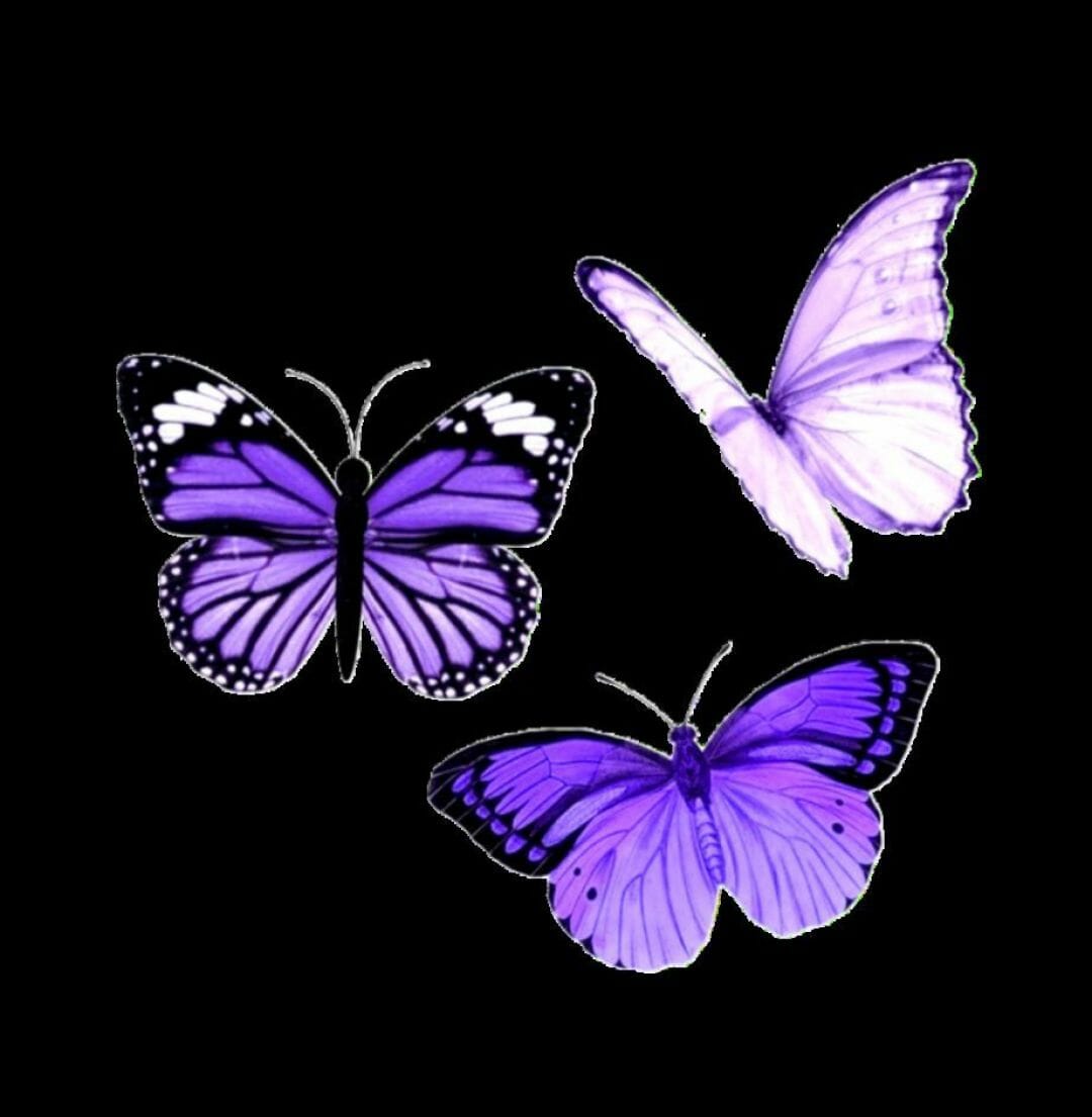 Aesthetic Butterflies Wallpapers