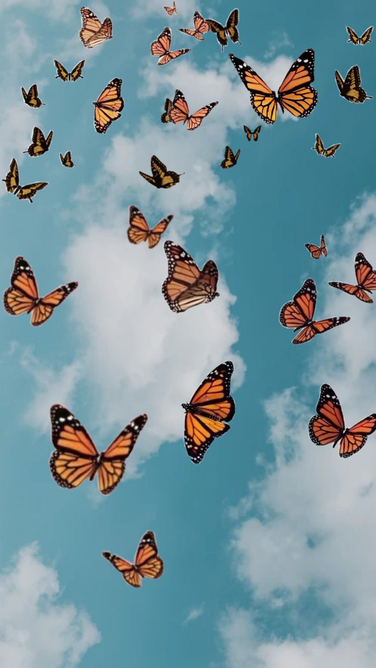 Aesthetic Butterfly Desktop Wallpapers