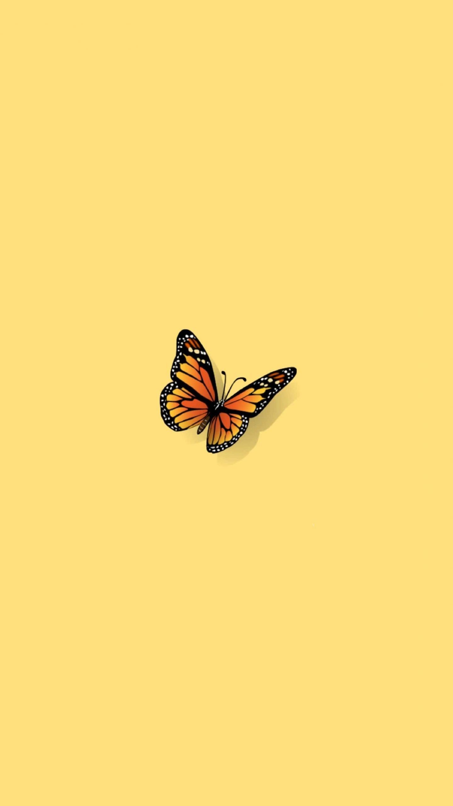 Aesthetic Butterfly Desktop Wallpapers