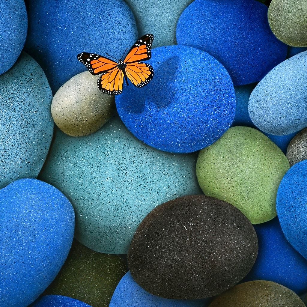 Aesthetic Butterfly Desktop Wallpapers