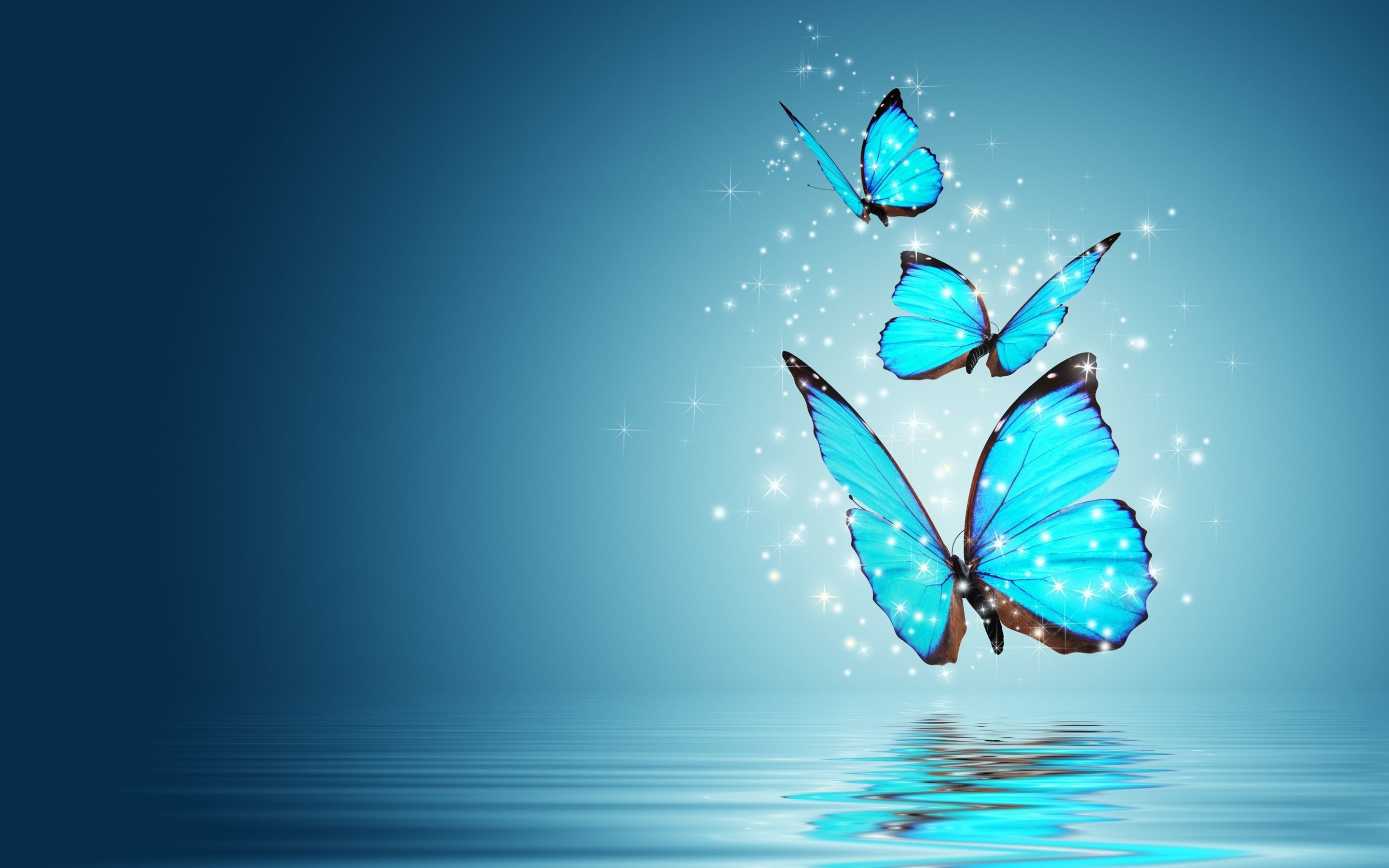 Aesthetic Butterfly Desktop Wallpapers