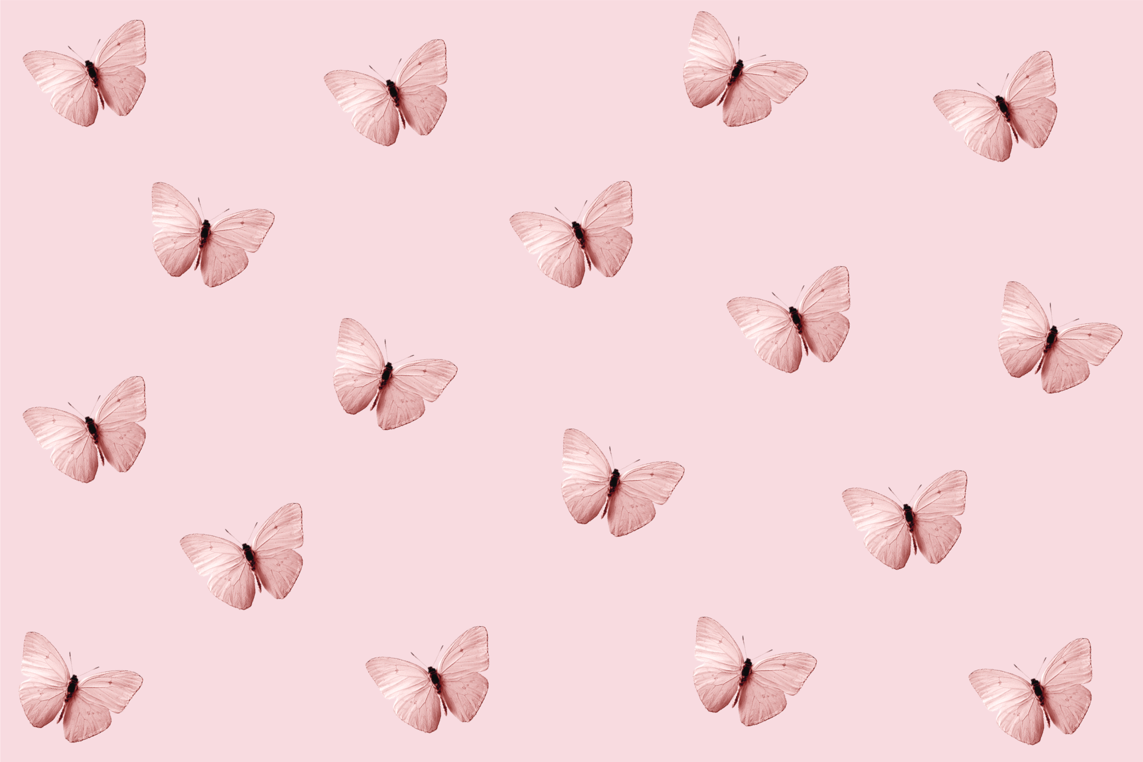 Aesthetic Butterfly Desktop Wallpapers