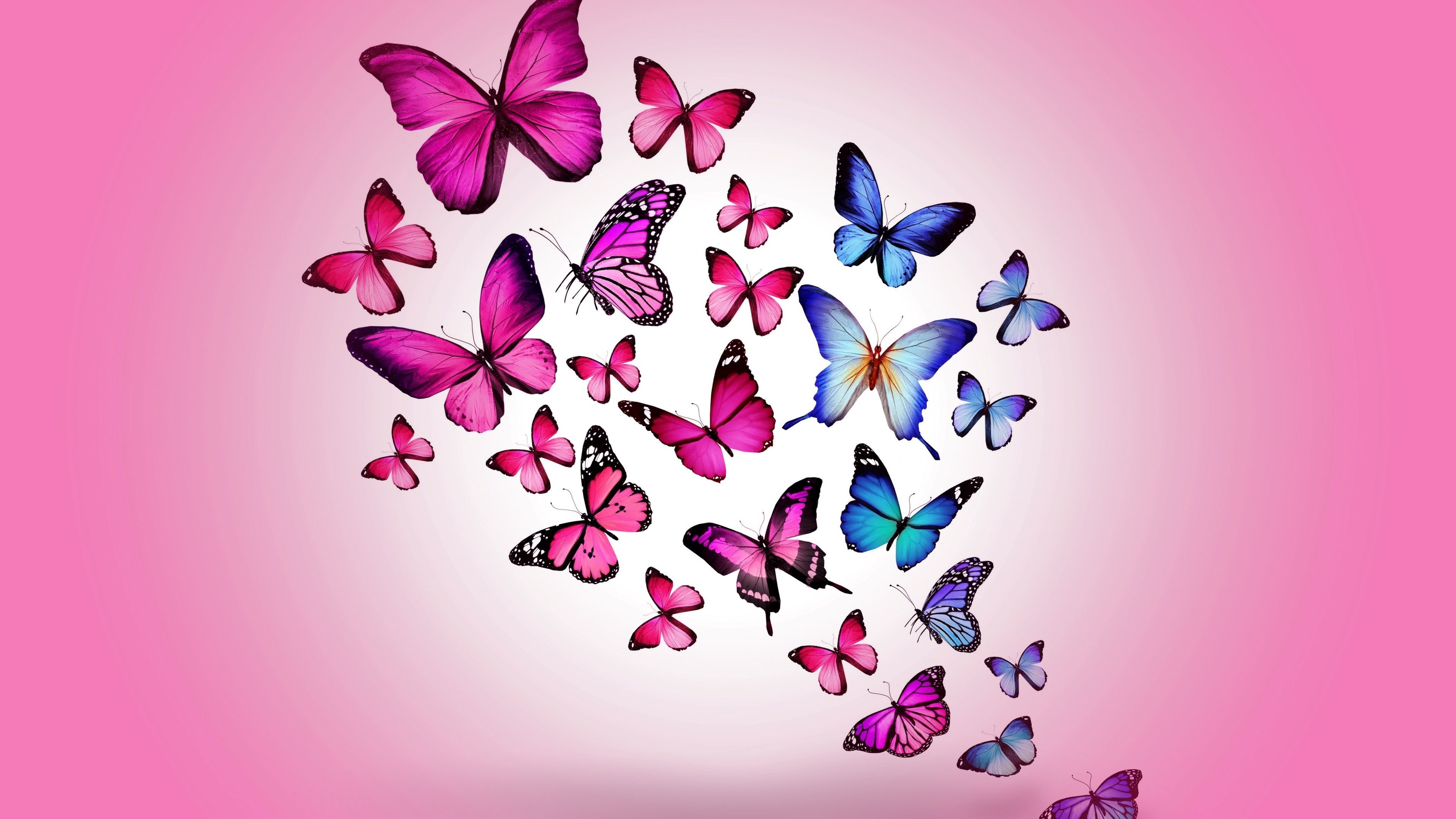 Aesthetic Butterfly Desktop Wallpapers