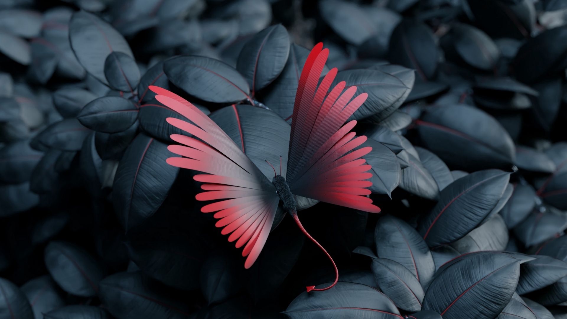 Aesthetic Butterfly Desktop Wallpapers