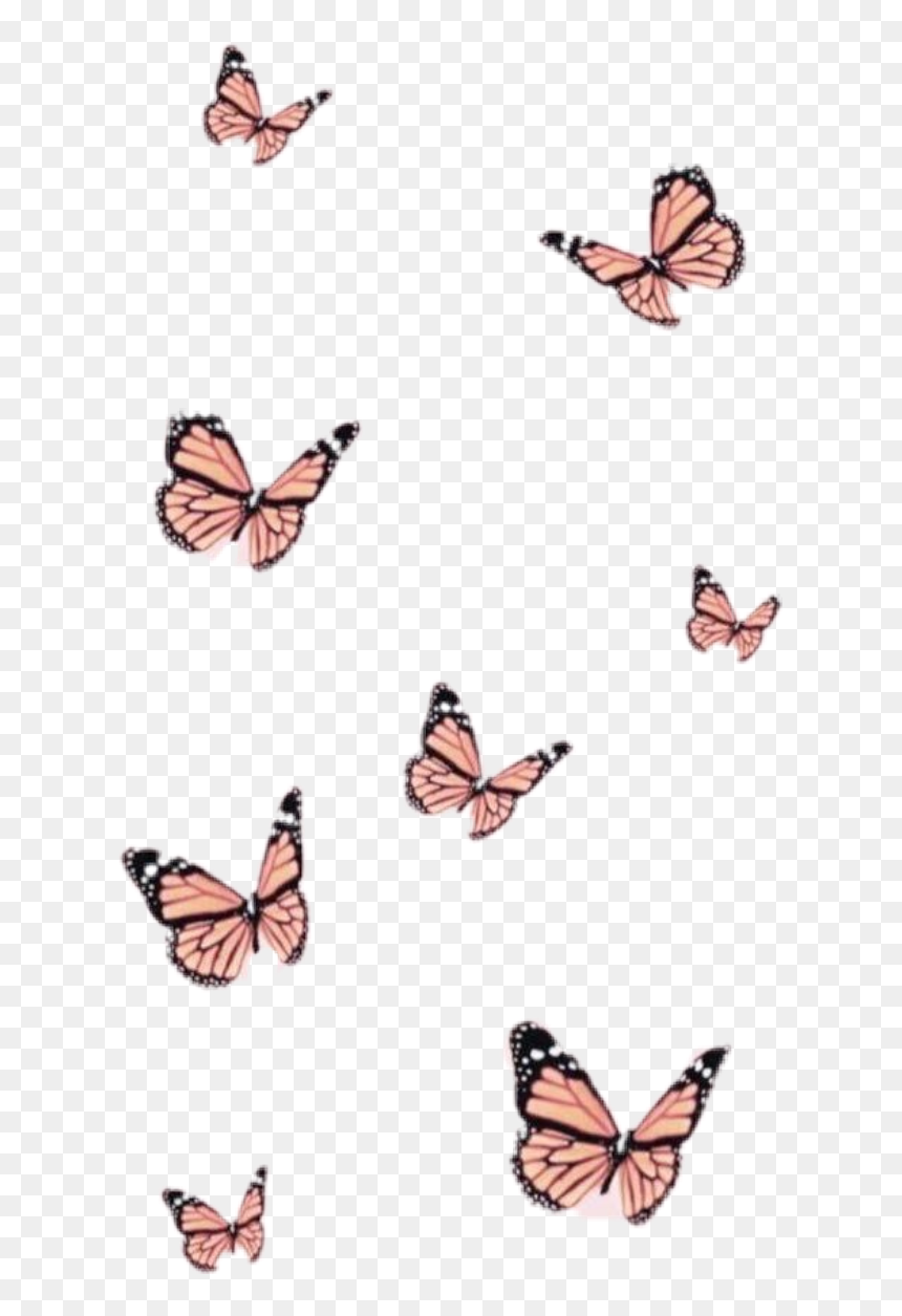 Aesthetic Butterfly Desktop Wallpapers