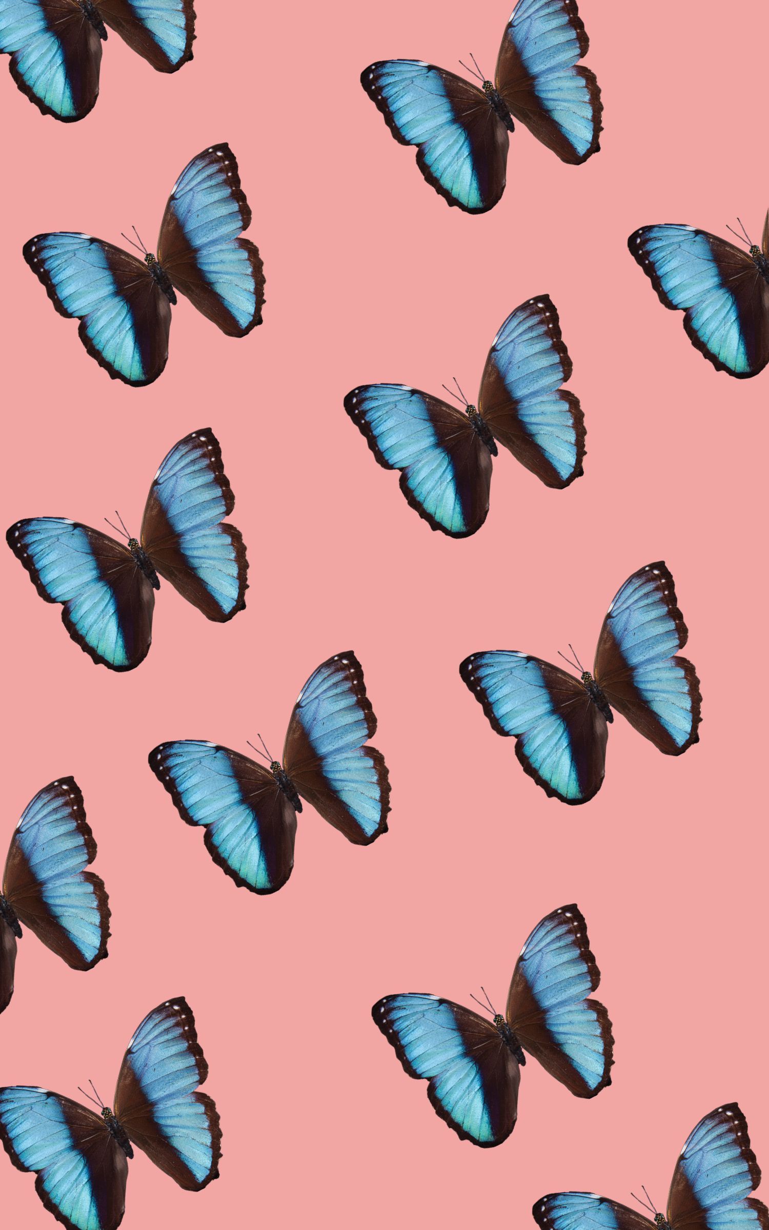 Aesthetic Butterfly Desktop Wallpapers