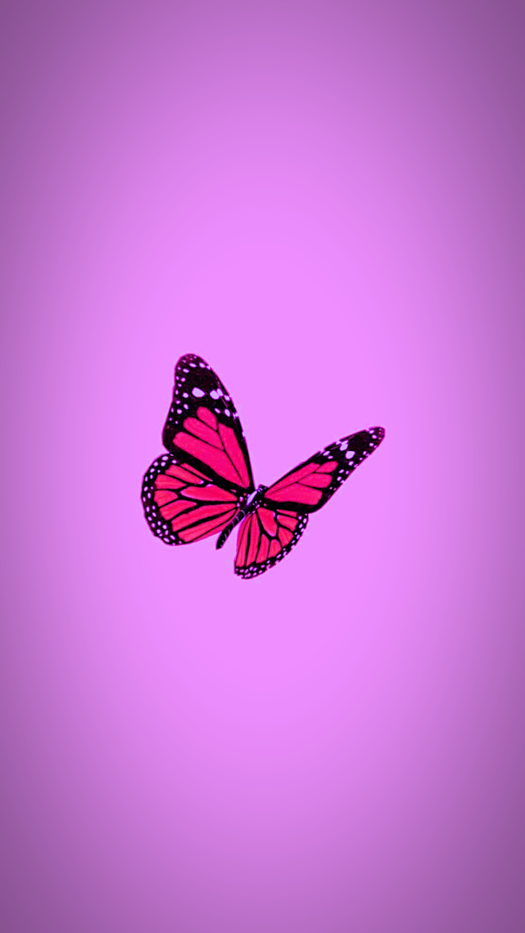 Aesthetic Butterfly Iphone Wallpapers