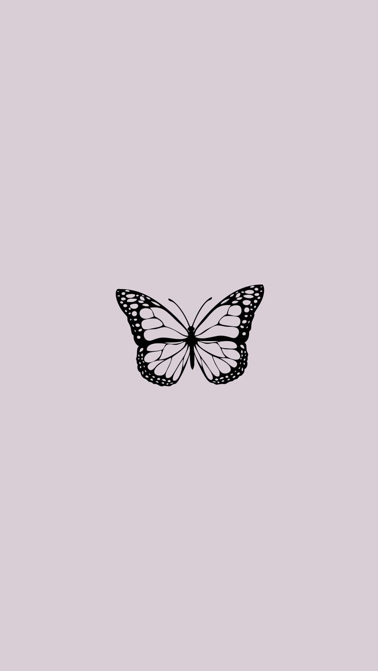 Aesthetic Butterfly Iphone Wallpapers