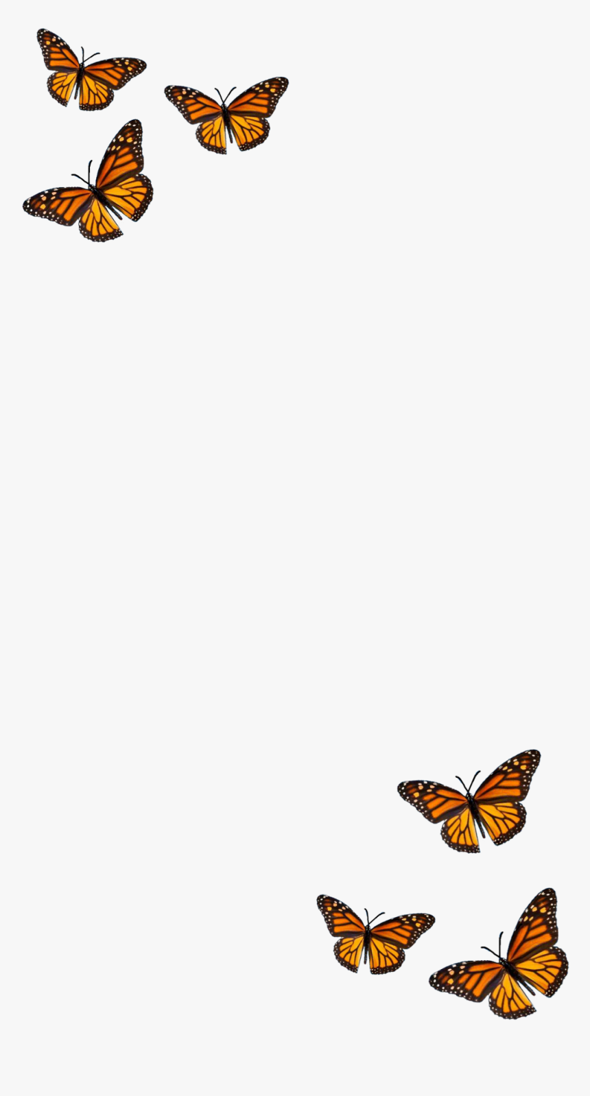 Aesthetic Butterfly Iphone Wallpapers