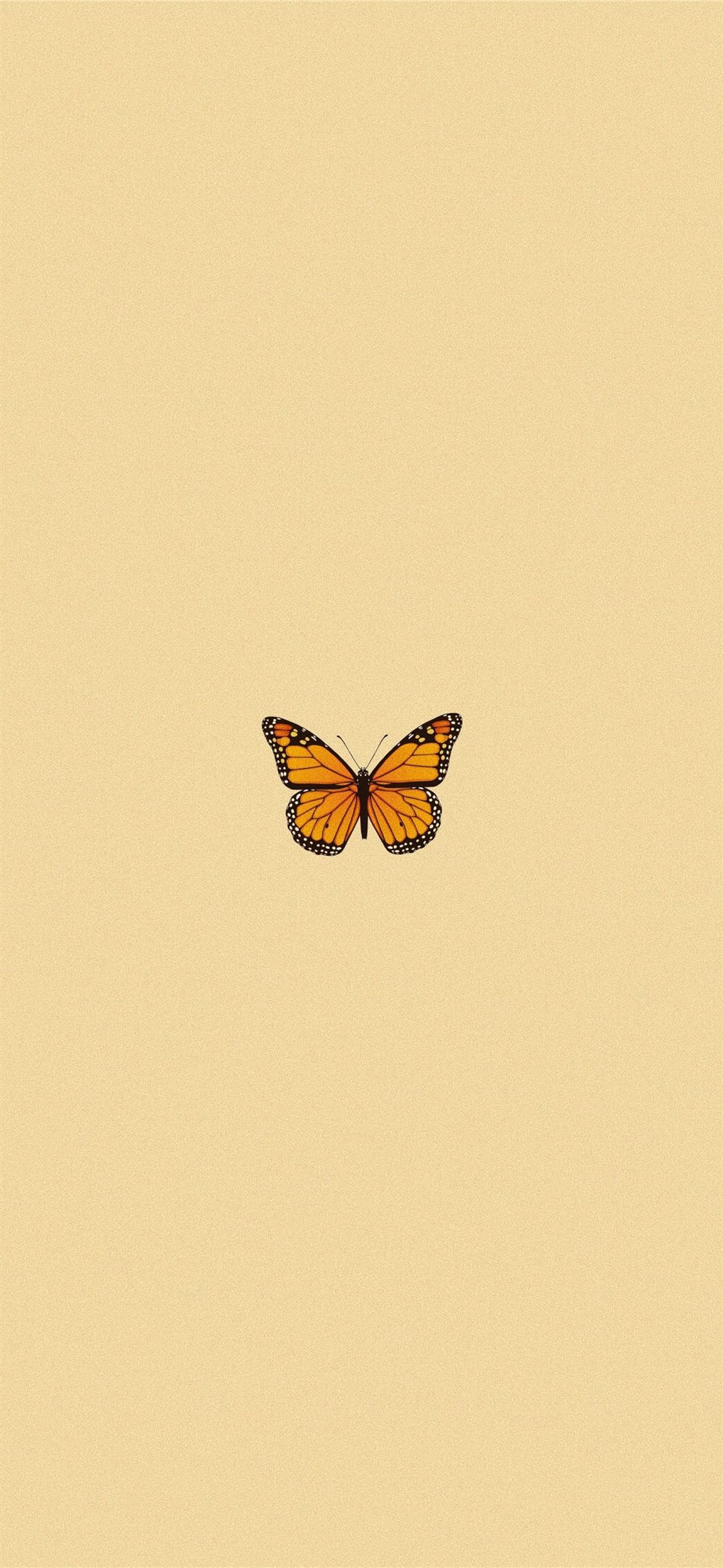 Aesthetic Butterfly Iphone Wallpapers