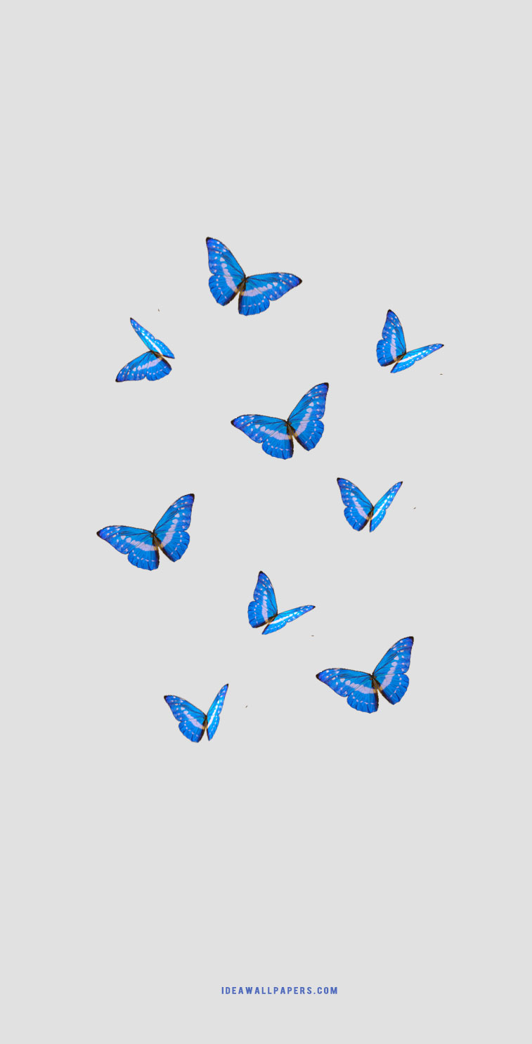 Aesthetic Butterfly Iphone Wallpapers