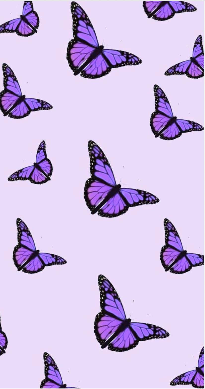 Aesthetic Butterfly Purple Wallpapers