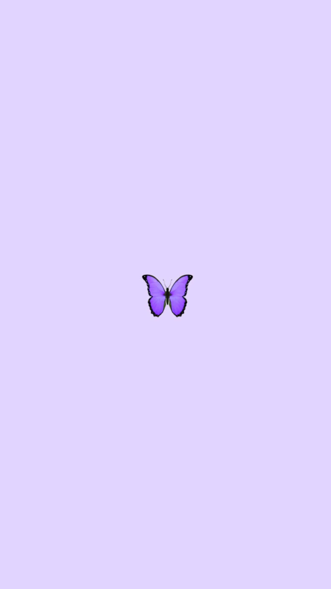 Aesthetic Butterfly Purple Wallpapers