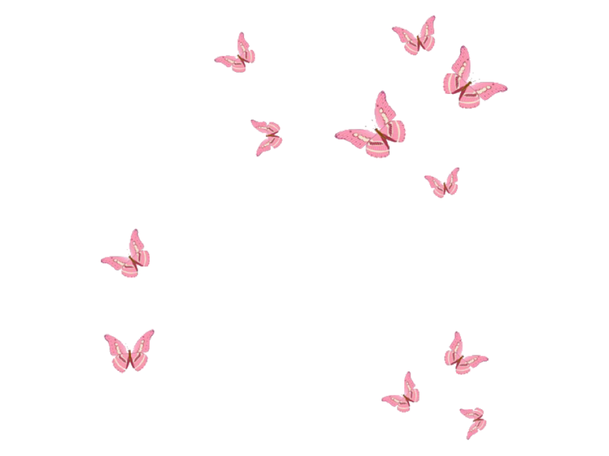 Aesthetic Butterfly Transparent Background