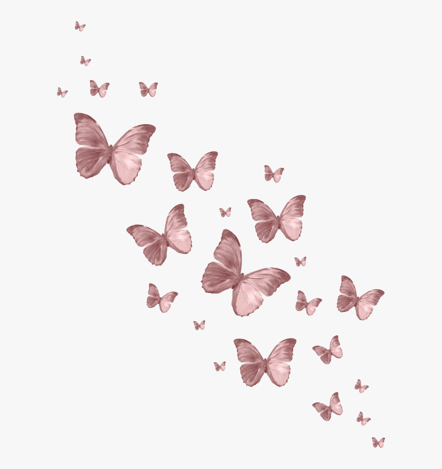 Aesthetic Butterfly Transparent Background