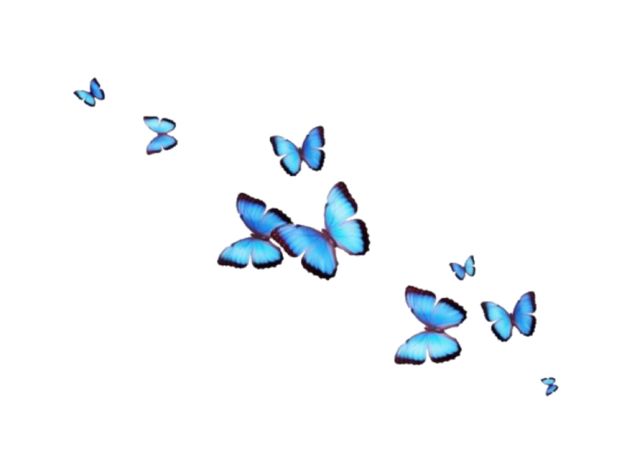 Aesthetic Butterfly Transparent Background