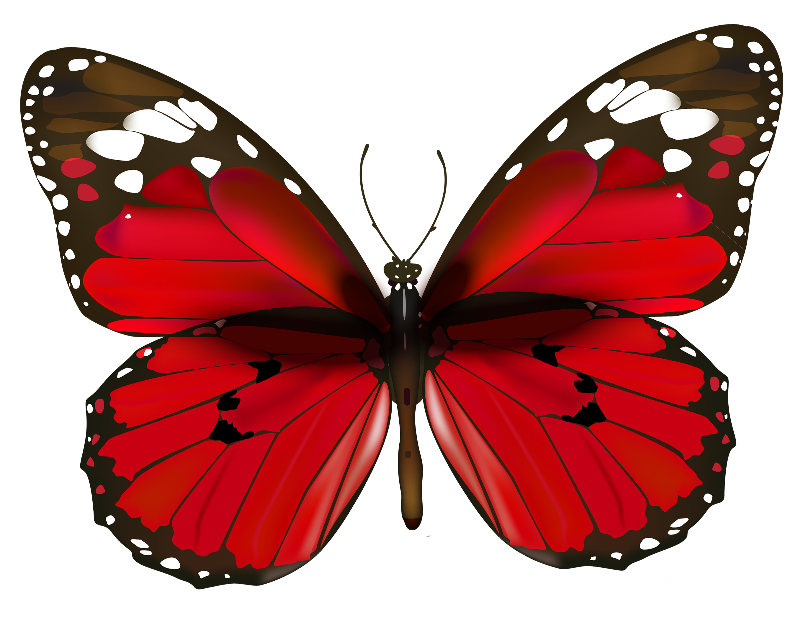 Aesthetic Butterfly Transparent Background