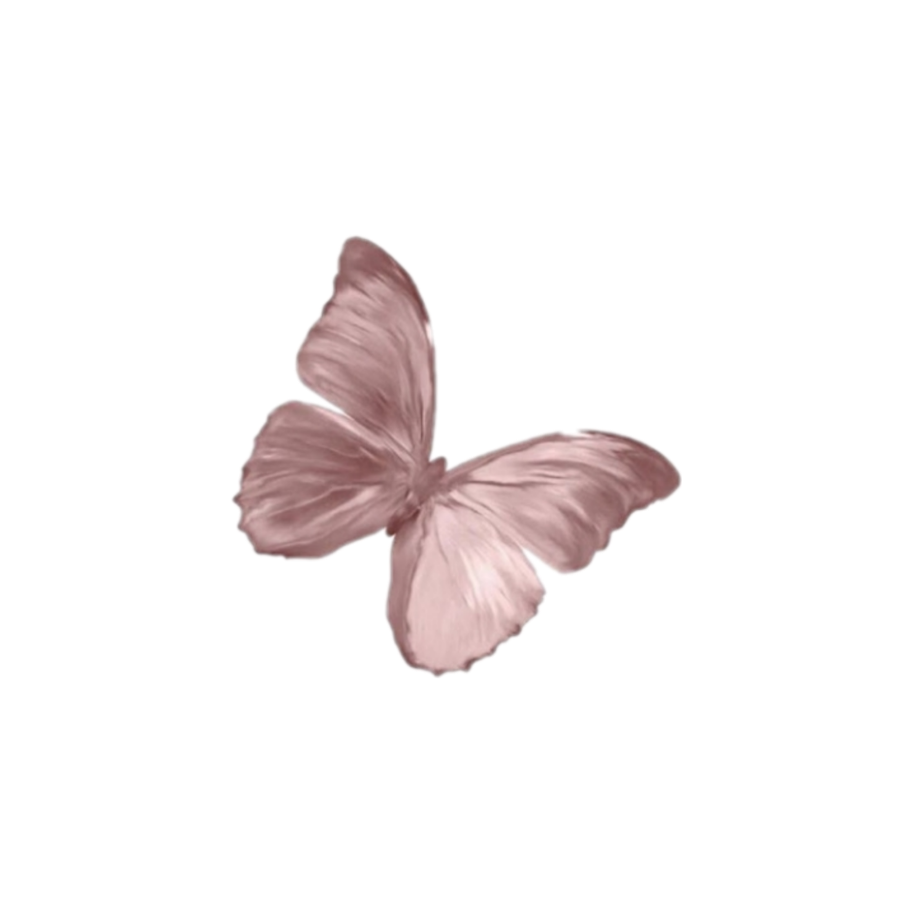 Aesthetic Butterfly Transparent Background