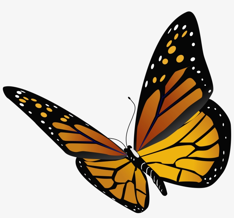 Aesthetic Butterfly Transparent Background