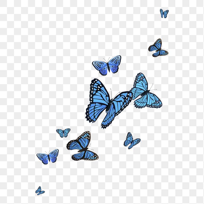 Aesthetic Butterfly Transparent Background