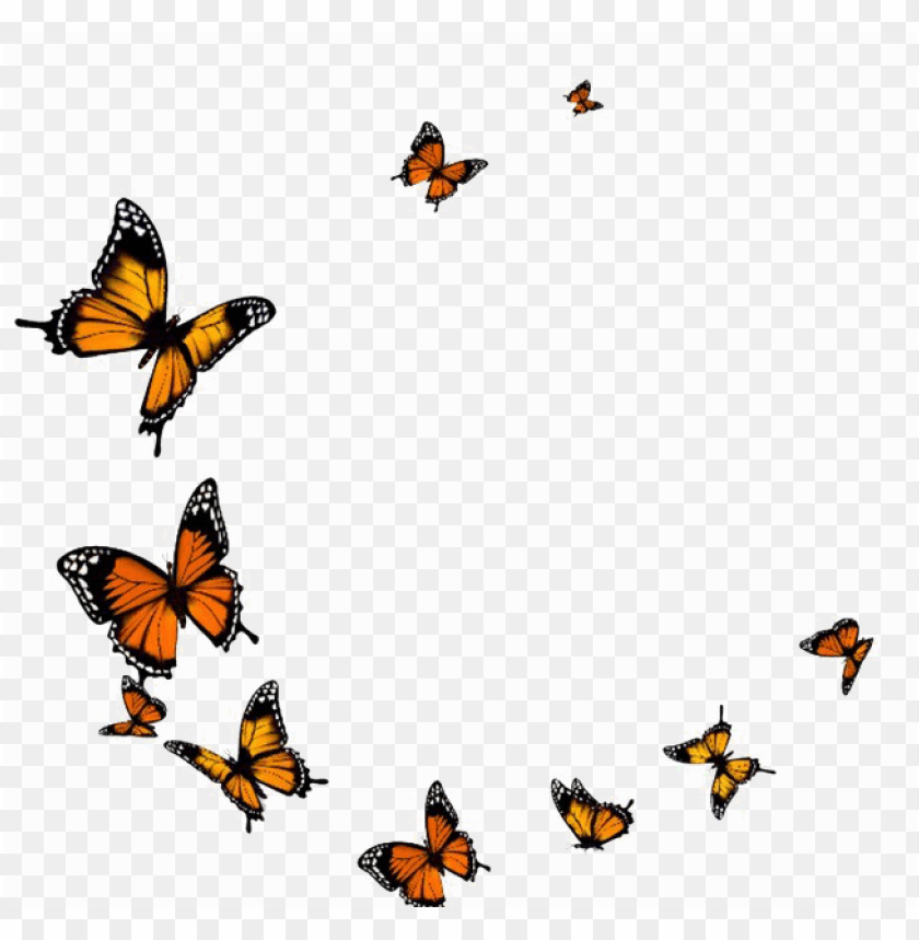 Aesthetic Butterfly Transparent Background