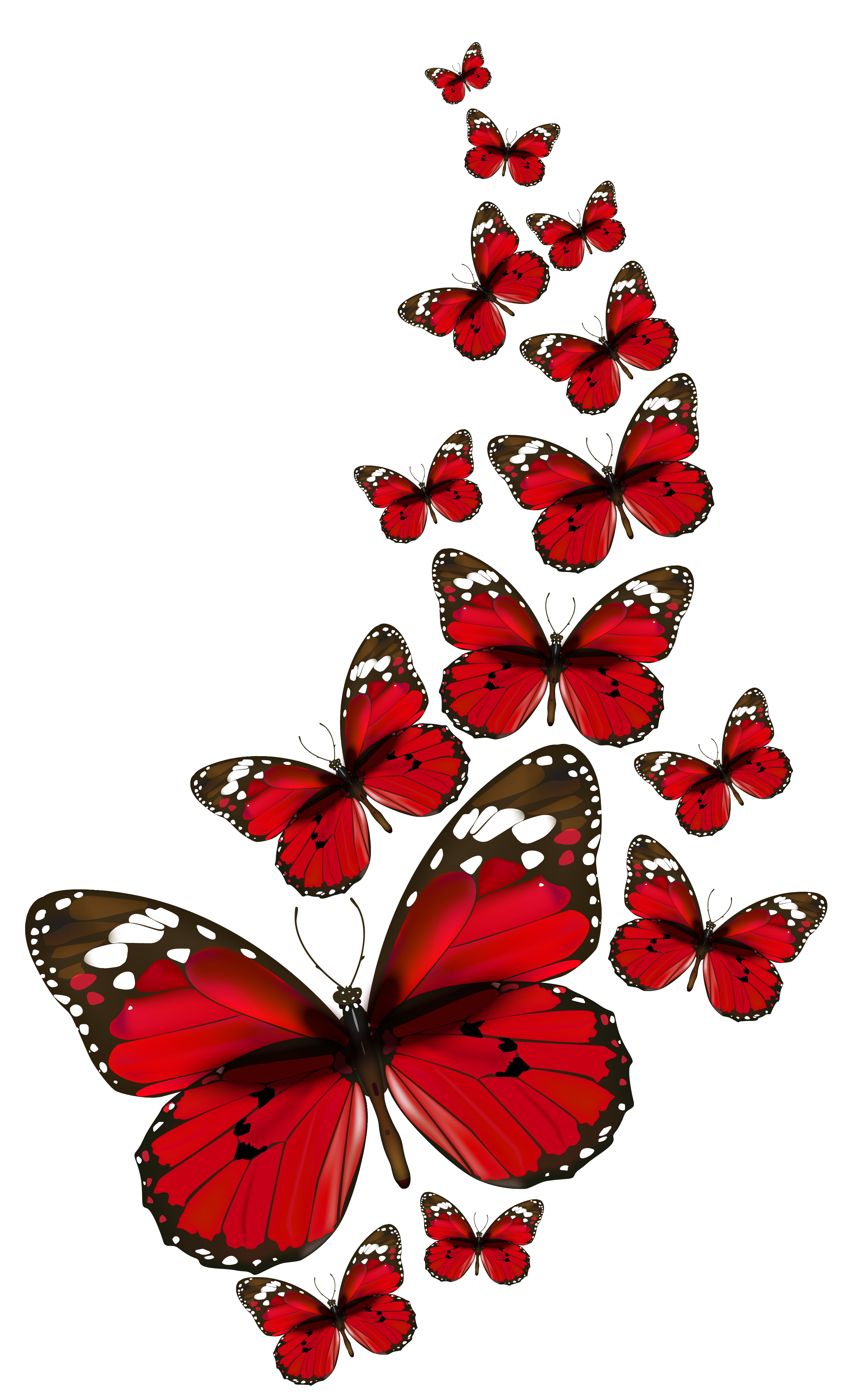 Aesthetic Butterfly Transparent Background