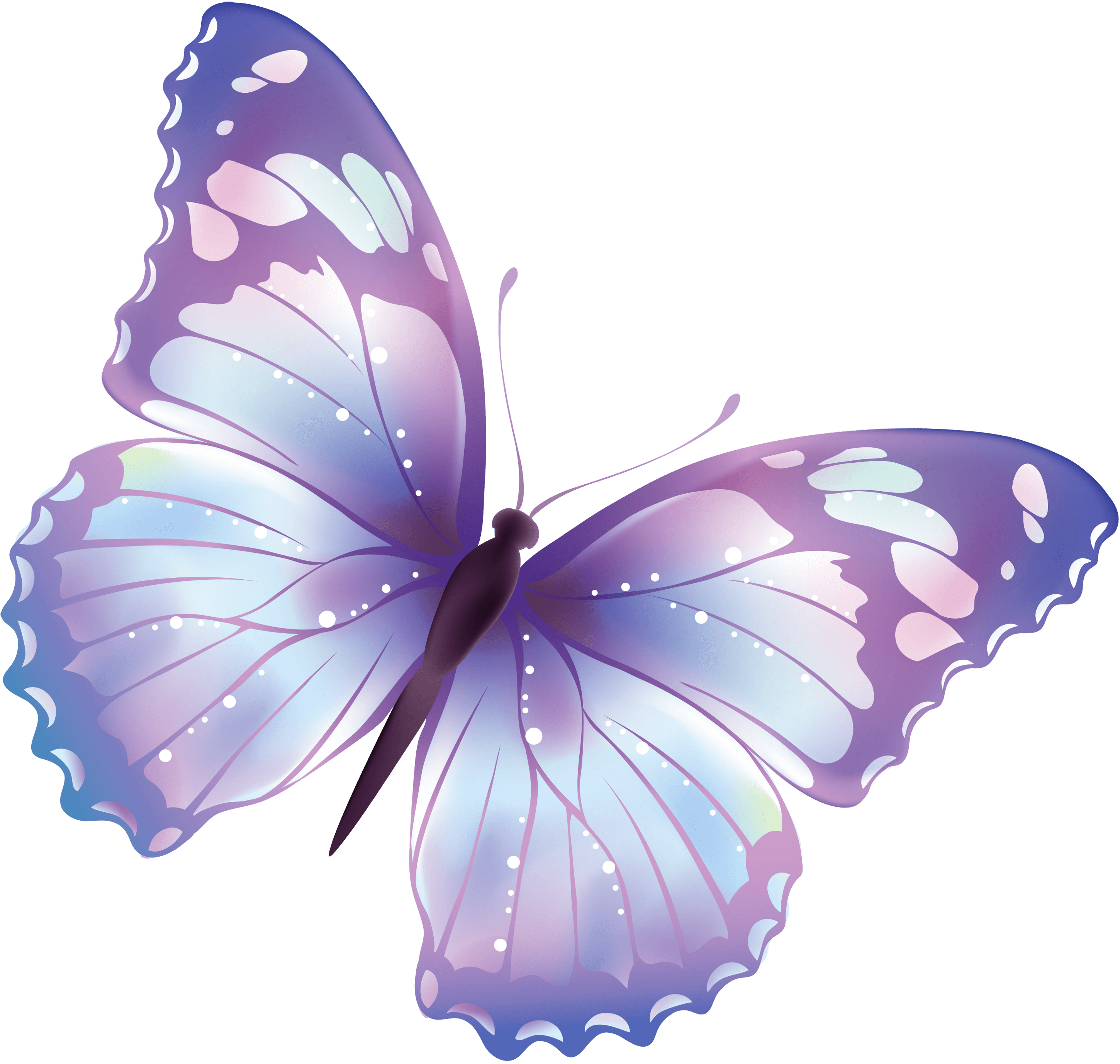 Aesthetic Butterfly Transparent Background