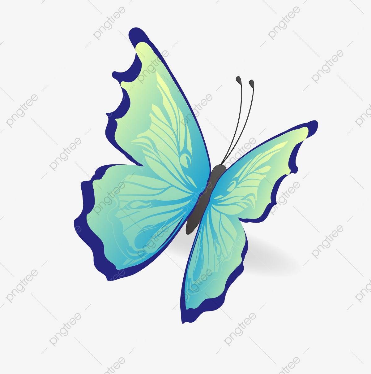 Aesthetic Butterfly Transparent Background