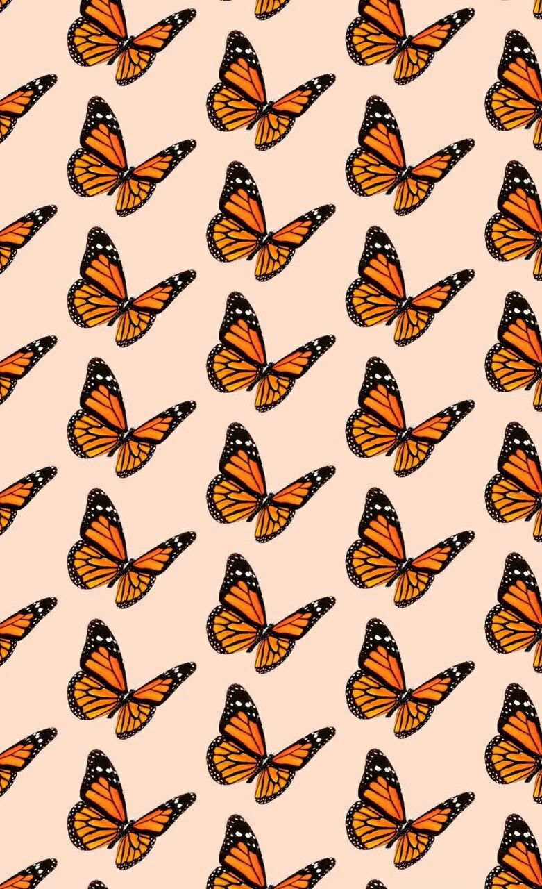 Aesthetic Butterfly Vsco Wallpapers