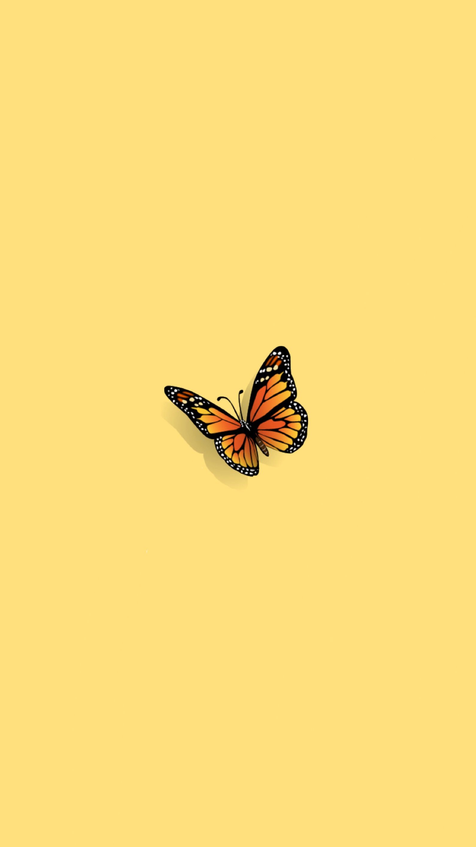 Aesthetic Butterfly Vsco Wallpapers