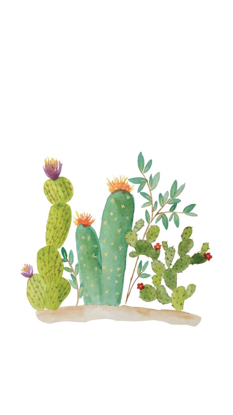 Aesthetic Cactus Wallpapers