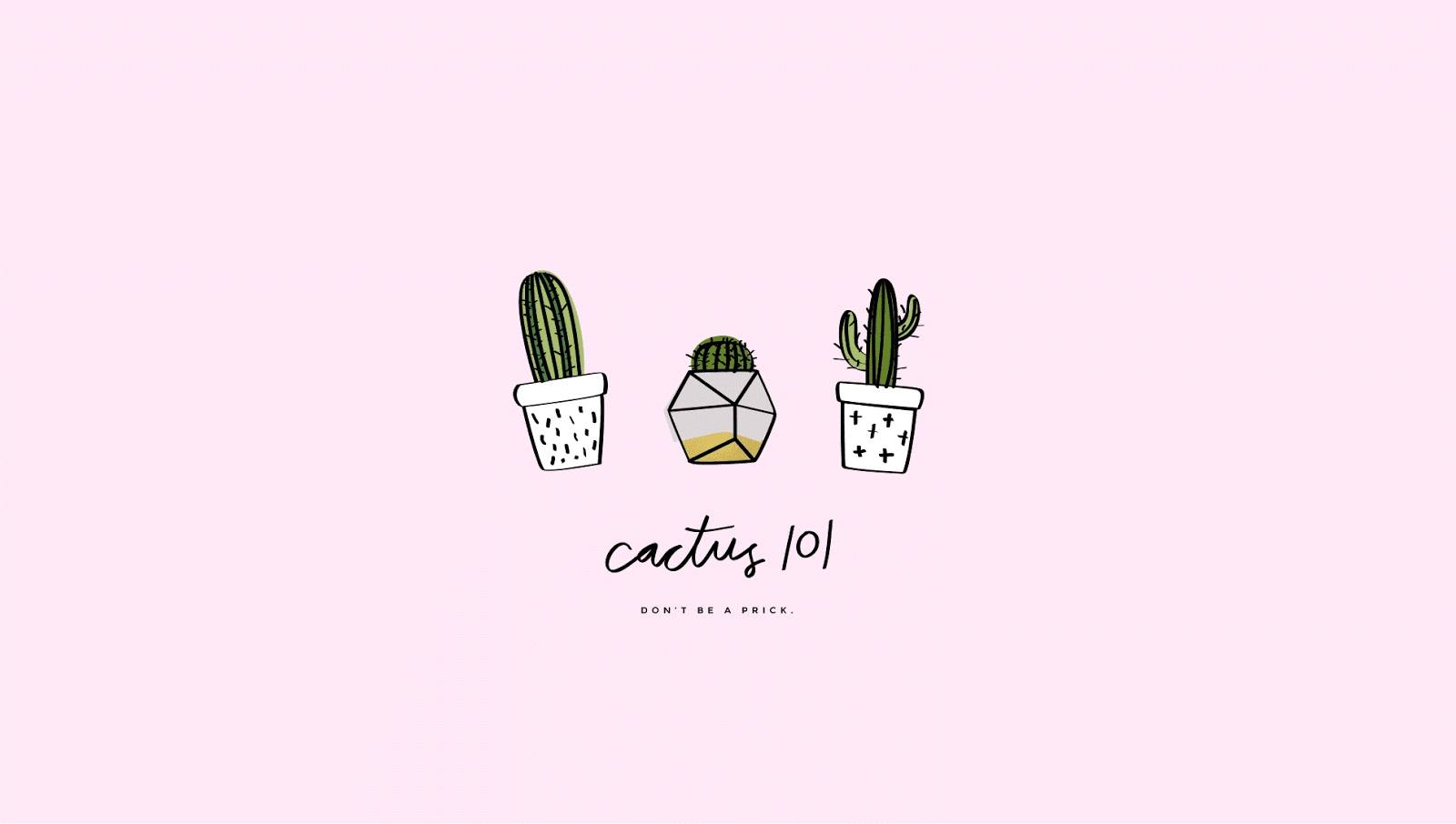 Aesthetic Cactus Wallpapers