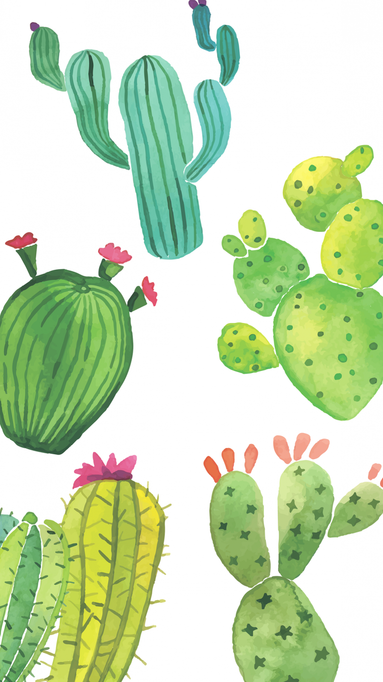 Aesthetic Cactus Wallpapers