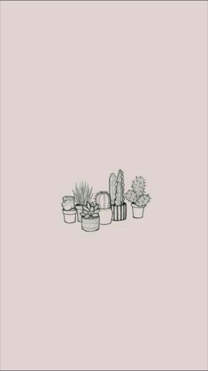 Aesthetic Cactus Wallpapers