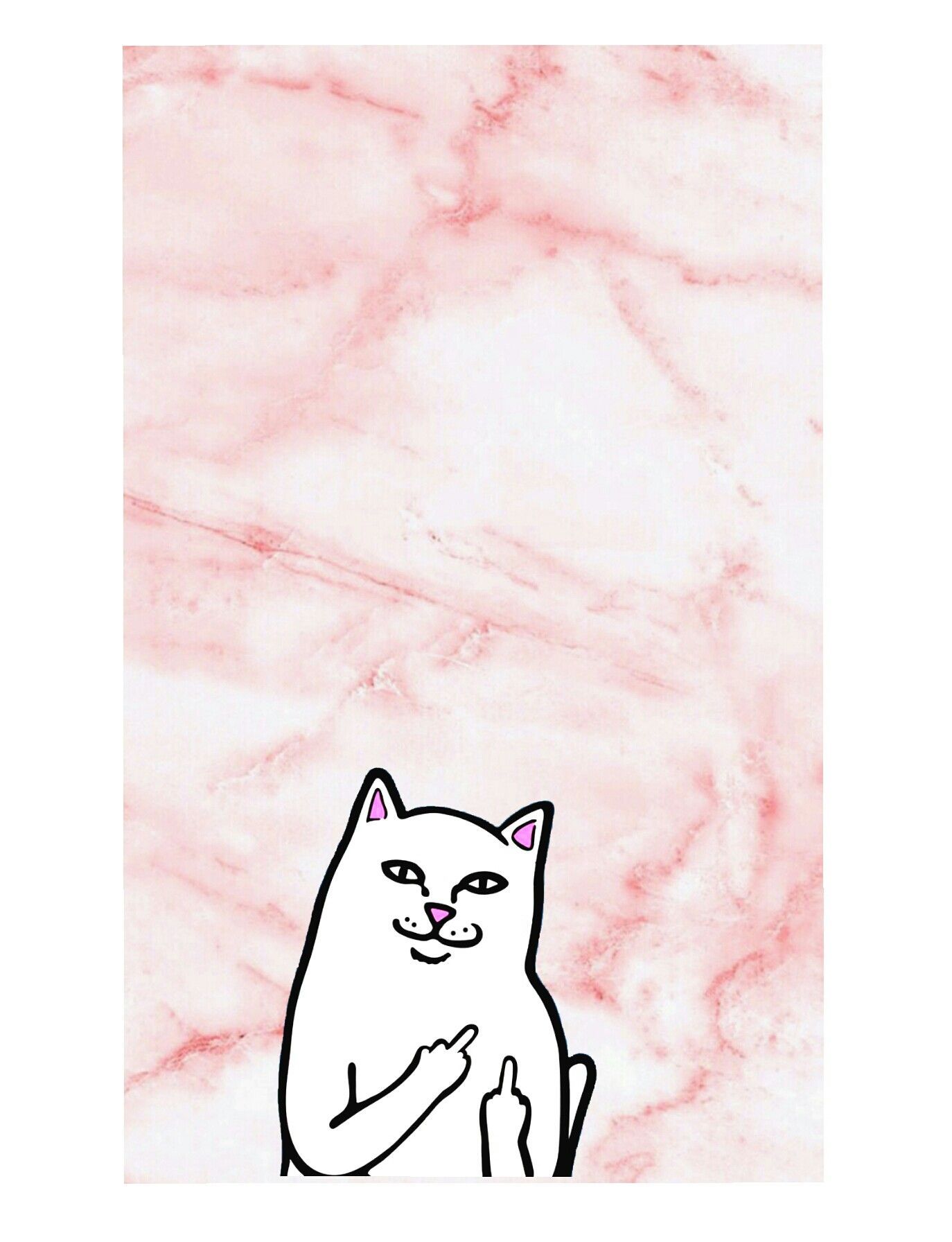 Aesthetic Cat Art Wallpapers