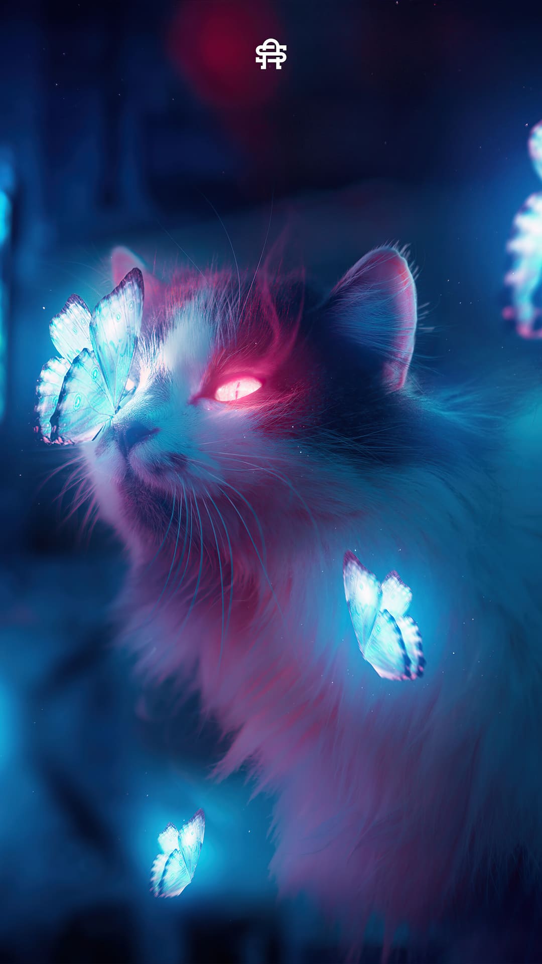 Aesthetic Cat Wallpapers