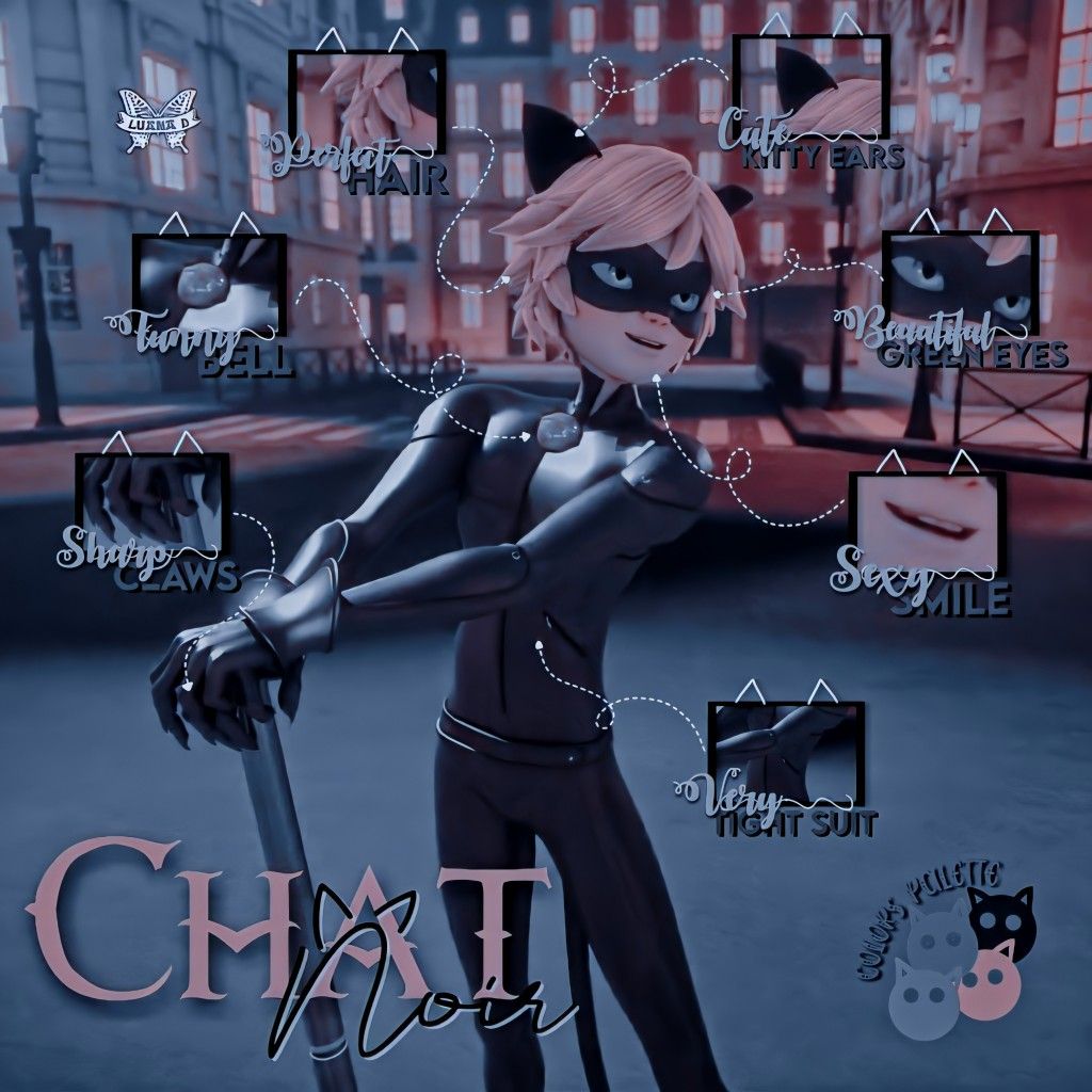 Aesthetic Chat Noir Wallpapers