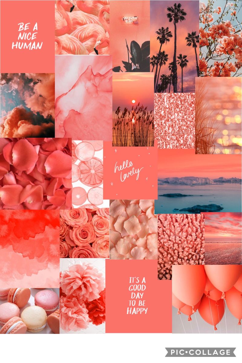 Aesthetic Coral Pink Wallpapers